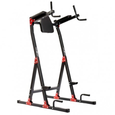 Station chaise romaine pour exercices multiples.