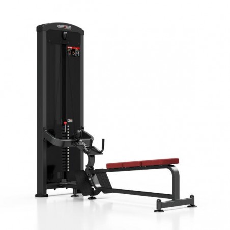 Station poulie haute et basse pour training haut du corps complet en homegym.