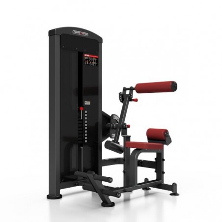 Appareil de musculation professionnel pour abdominaux et dorsaux.