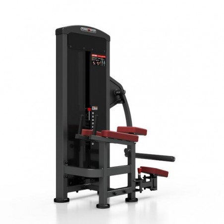 Station de musculation professionnelle pour entraînement complet des fessier.