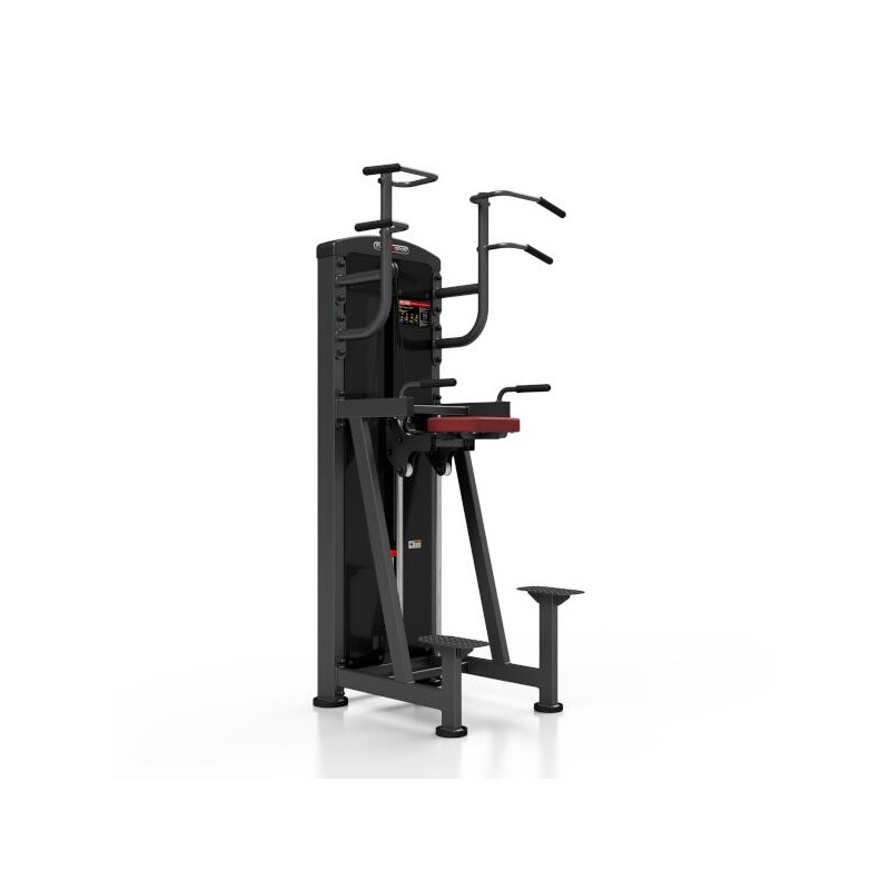 Station pro pour tractions et dips assistés avec colonne de poids de 100 kg.