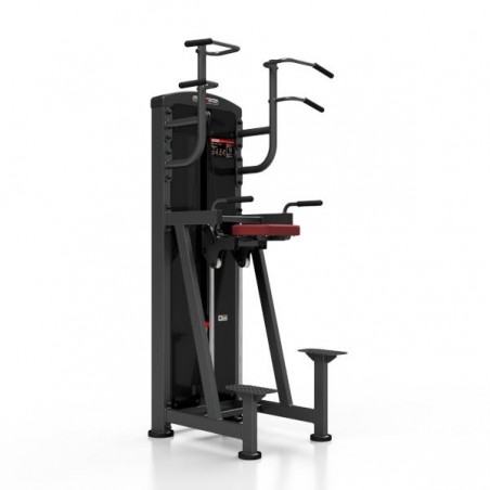 Station pro pour tractions et dips assistés avec colonne de poids de 100 kg.